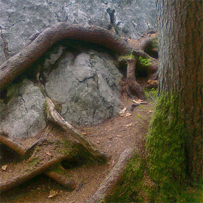 berchtegaden105