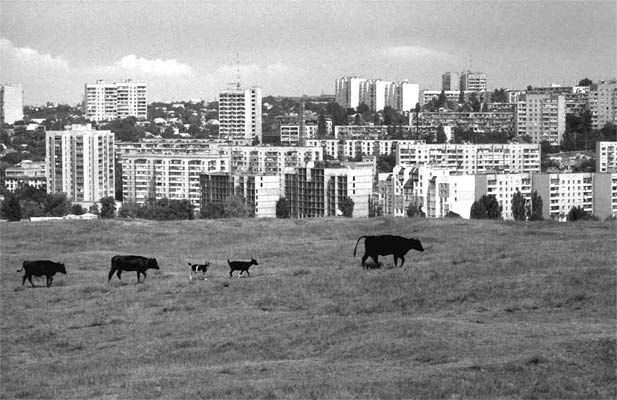 simferopol3